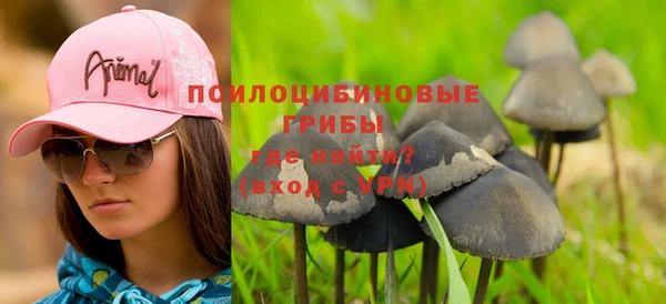 амф Алексеевка