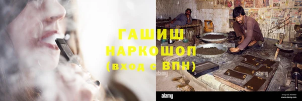 крисы Алзамай