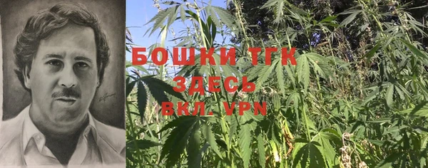 амф Алексеевка