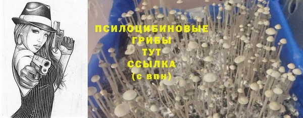 крисы Алзамай