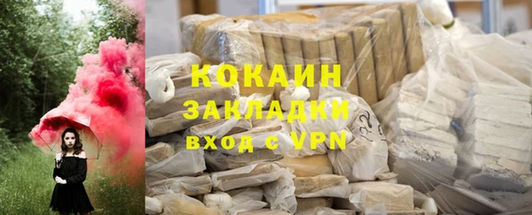 крисы Алзамай