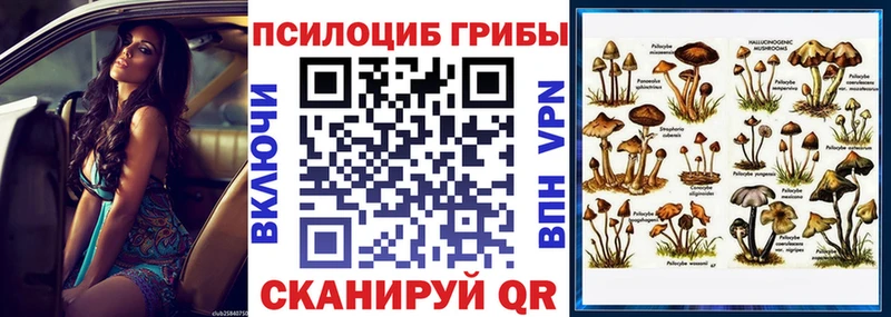 наркошоп  Санкт-Петербург  Псилоцибиновые грибы Cubensis 