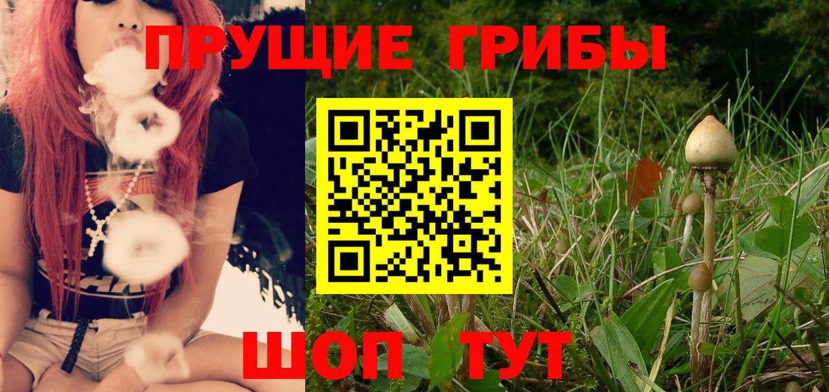 Псилоцибиновые грибы Magic Shrooms Санкт-Петербург
