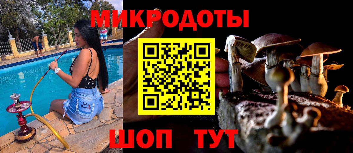 Санкт-Петербург  Псилоцибиновые грибы Psilocybine cubensis  магазин продажи   Вход с VPN 